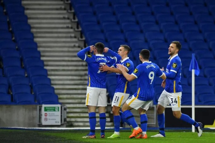 Preview Brighton & Hove Albion vs Sunderland – prediksi dan berita tim