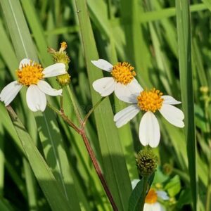 Pic proves era is over, Max to ‘switch teams’