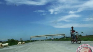 Pentingnya Profesi Penilai bagi Stabilitas Sektor Keuangan Indonesia