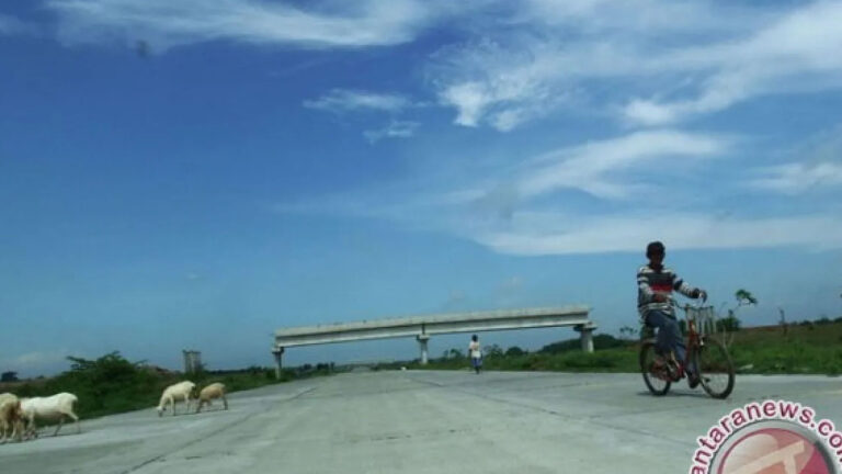 Pentingnya Profesi Penilai bagi Stabilitas Sektor Keuangan Indonesia